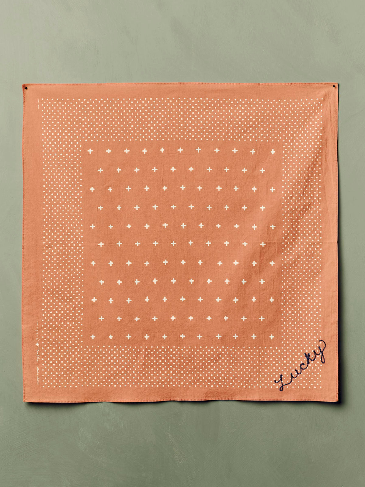 i+w vintage orange bandana